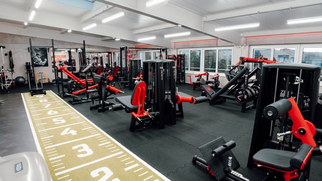 Immagine Ironsports Frick