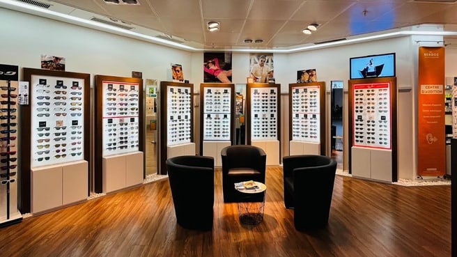 Bild Berdoz Vision & Audition