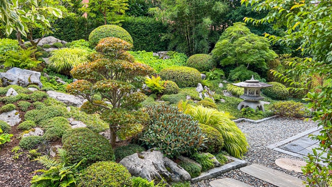 Immagine Terza Natura GmbH