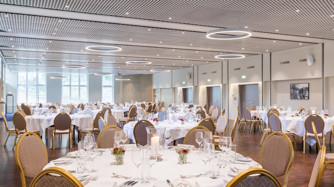 Mercure Lenzburg Krone image