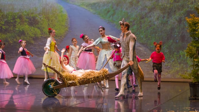 Immagine Basel Dance Academy