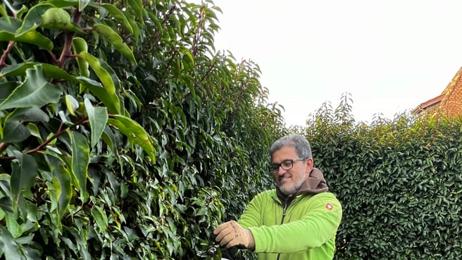 Bild Lutz Gärten & Schwimmbäder GmbH