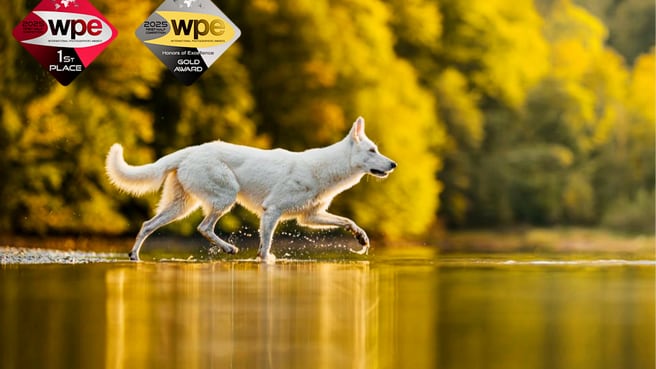 Diego Dengg Fotografie image