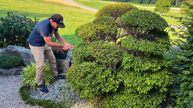 Immagine Terza Natura GmbH