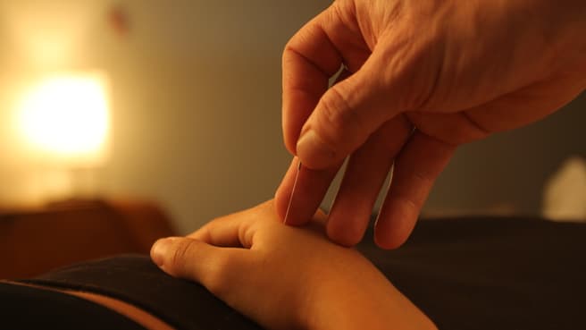 Immagine pingmai Andreas Wassmer | akupunktur • massage • qigong