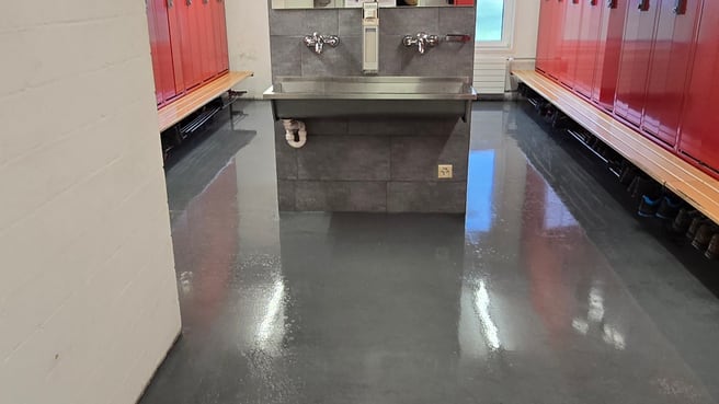 Immagine Molim Service