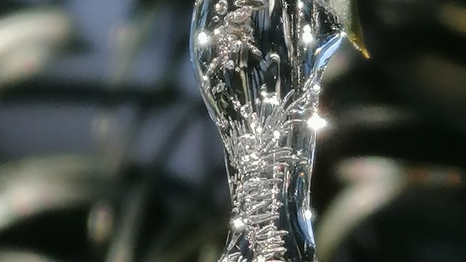 Image Kraftvoll verwurzelt - innere Stärke und Klarheit