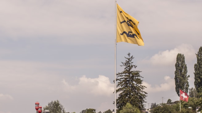 Immagine Motorboot-Fahrschule Zürichsee GmbH