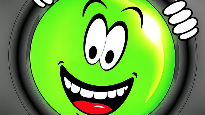 Bild Fahrschule Gossweiler