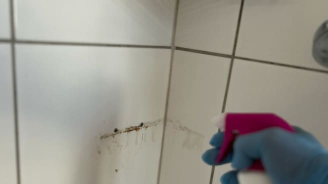 Futura & Management Facility GmbH image