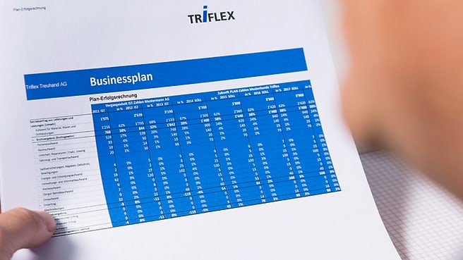 Bild Triflex Treuhand AG