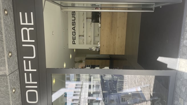 Image PEGASUS Hairdesign