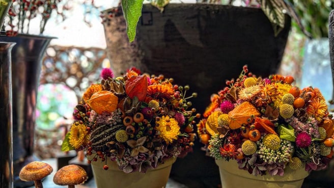 Immagine BELLEFLEUR
