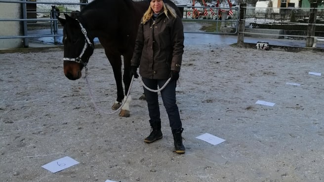 Image Zeit für Leichtigkeit - Coaching mit Pferd