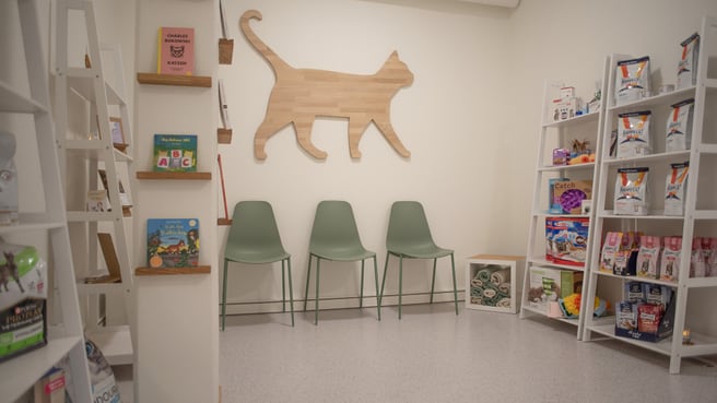 Katzenpraxis FeliVet image