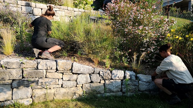 Image Mille et un Jardins