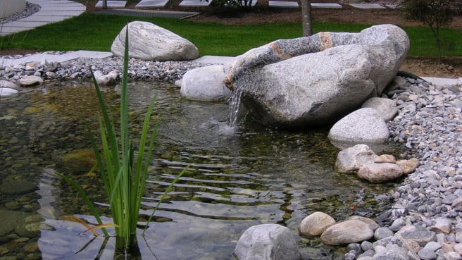 Immagine M. Murer Gartenbau GmbH