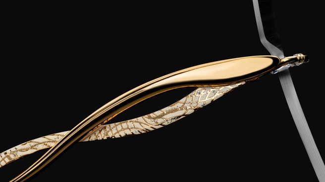 Immagine Ebneter Optik, Brillen & Kontaktlinsen