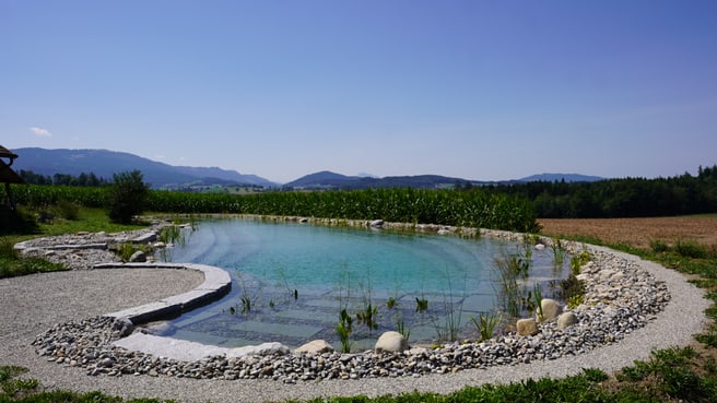 Immagine Baumann Gartenbau und Unterhalt AG