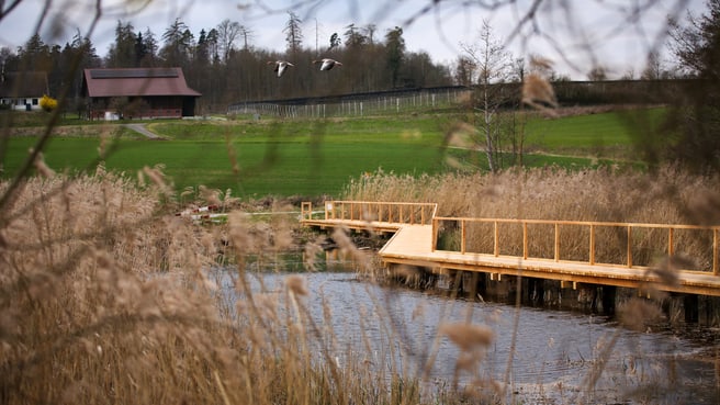 Ruba Objektbau AG image
