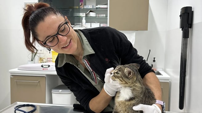 Immagine La Trinità Ospedale Veterinario