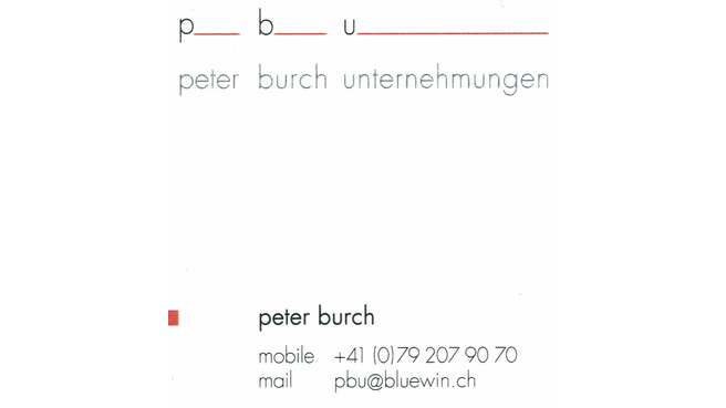 Pbu Peter Burch Unternehmungen image