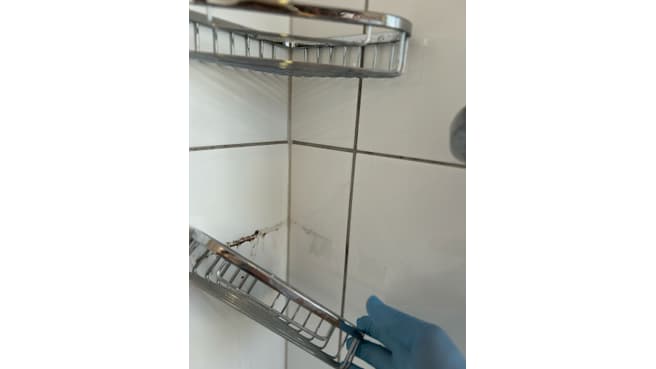 Futura & Management Facility GmbH image