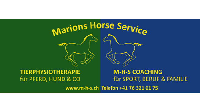 Bild Marions Horse Service GmbH