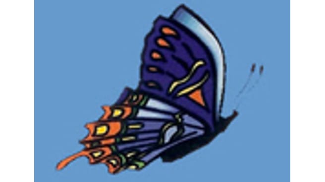 Bild Institut Butterfly