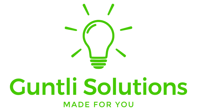Immagine Guntli Solutions
