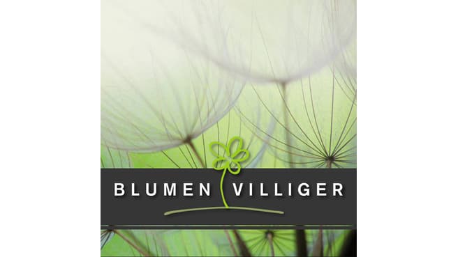 Blumen Villiger GmbH image