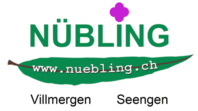 Bild Nübling AG Gartenbau und Landschaftsarchitektur