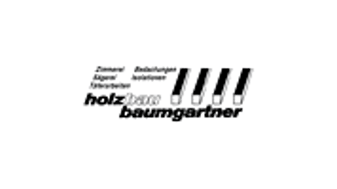 Immagine Holzbau Baumgartner