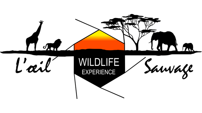 Safaris à la carte - L'Oeil sauvage image