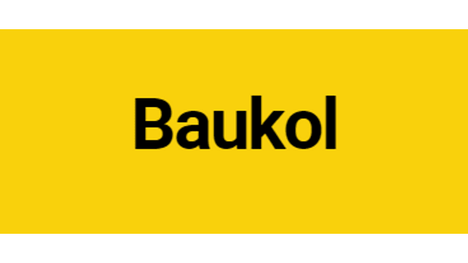 Bild BAUKOL GmbH