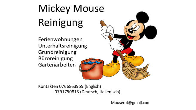 Bild Mickey Mouse Reinigung