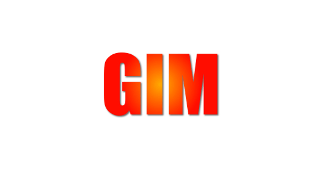 GIM  Graf Immobilien Management image