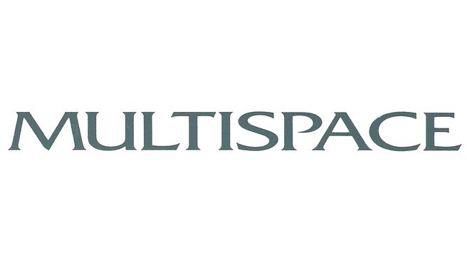 Multispace AG image