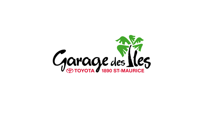 Garage des Iles SA image