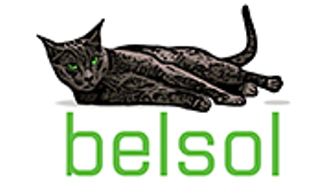 Belsol-Mitterer SA image