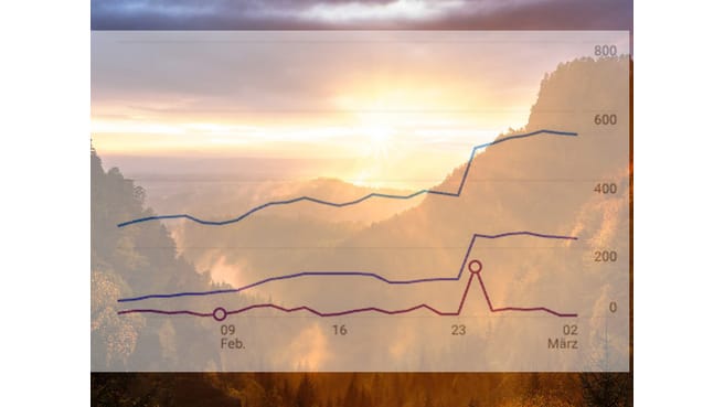 Immagine c-i-design SEOstratege