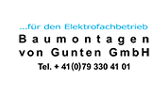 Baumontagen von Gunten GmbH image