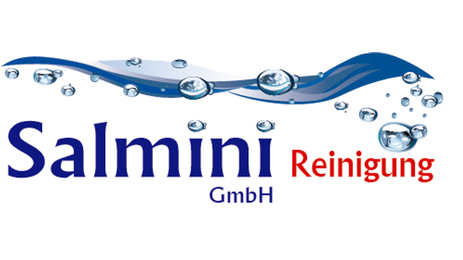 Bild Salmini GmbH