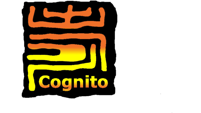 Image Cognito Treuhand GmbH