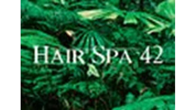 Hairspa 42 image