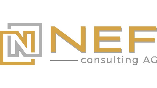 Nef Consulting AG image