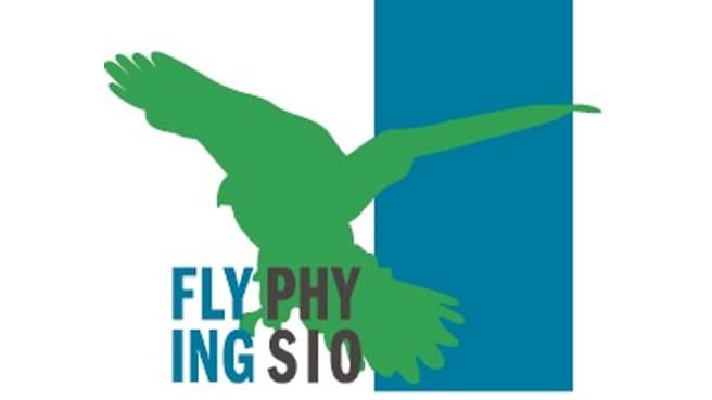 Flying Physio Giovanoli image