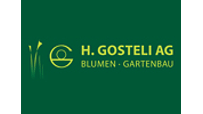 H. Gosteli AG image