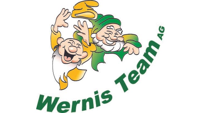 Werni's Team AG image