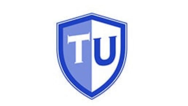 Team-Umzug GmbH image